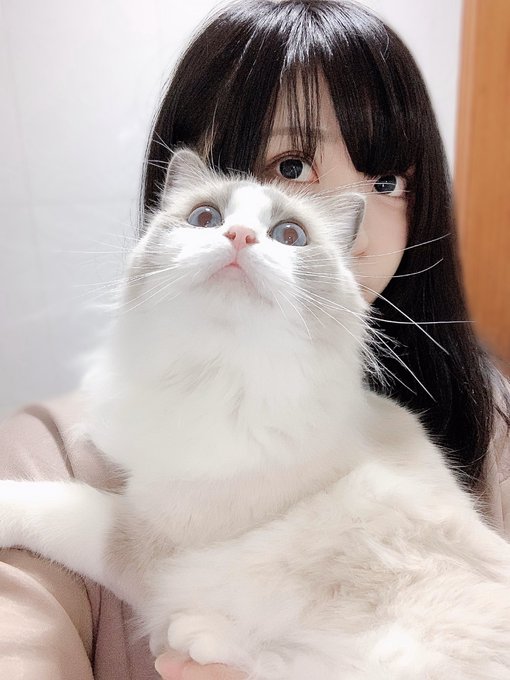 Twitterのコスプレ画像21