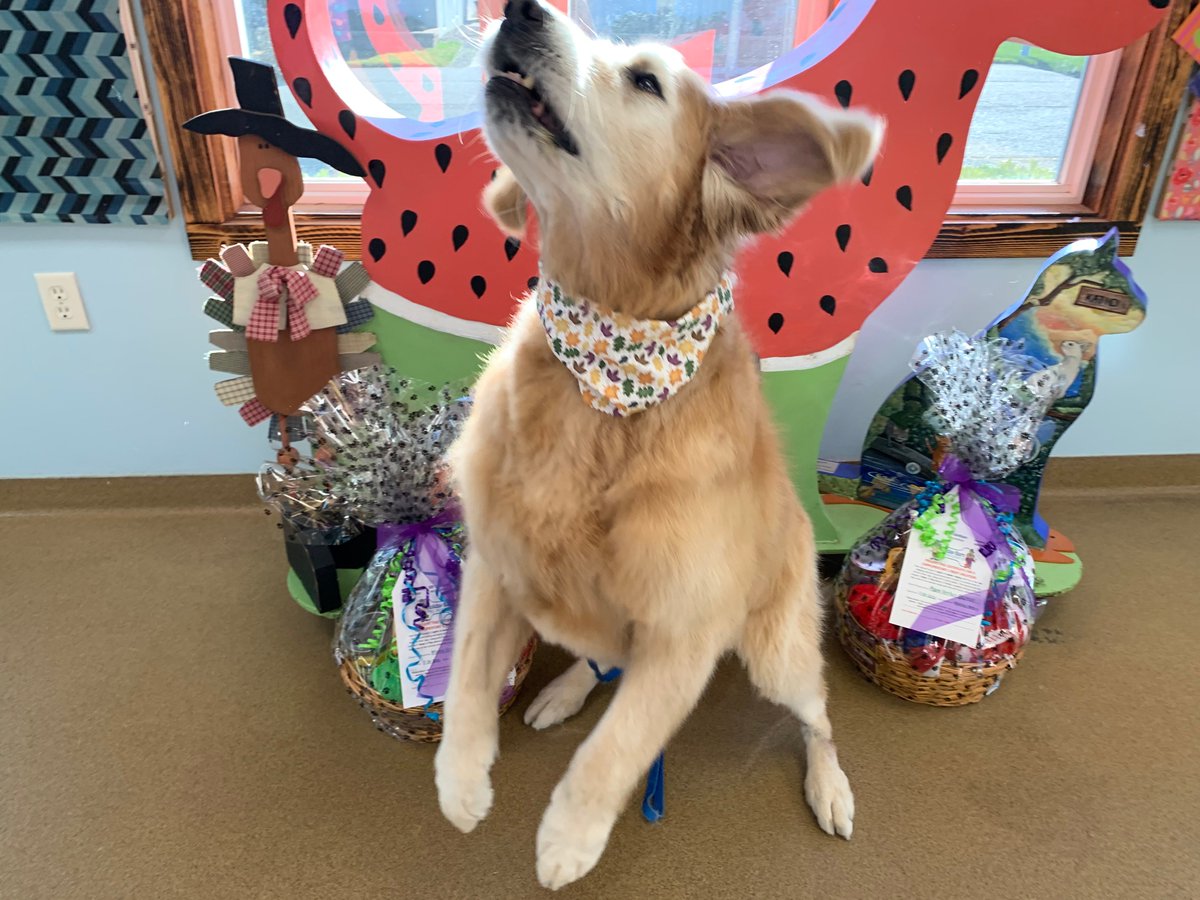 Holiday Barn Holidaybarn Twitter