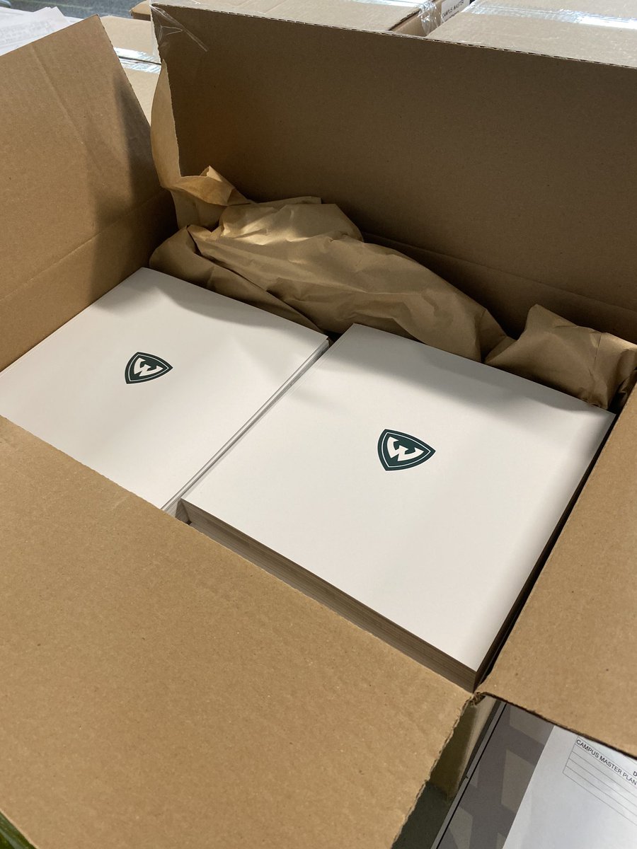 This is it. The last year of my professional life all wrapped up in 435 pages. Behold the <a href="/waynestate/">Wayne State University</a> 2030 Campus Master Plan: The Wayne Framework 2019