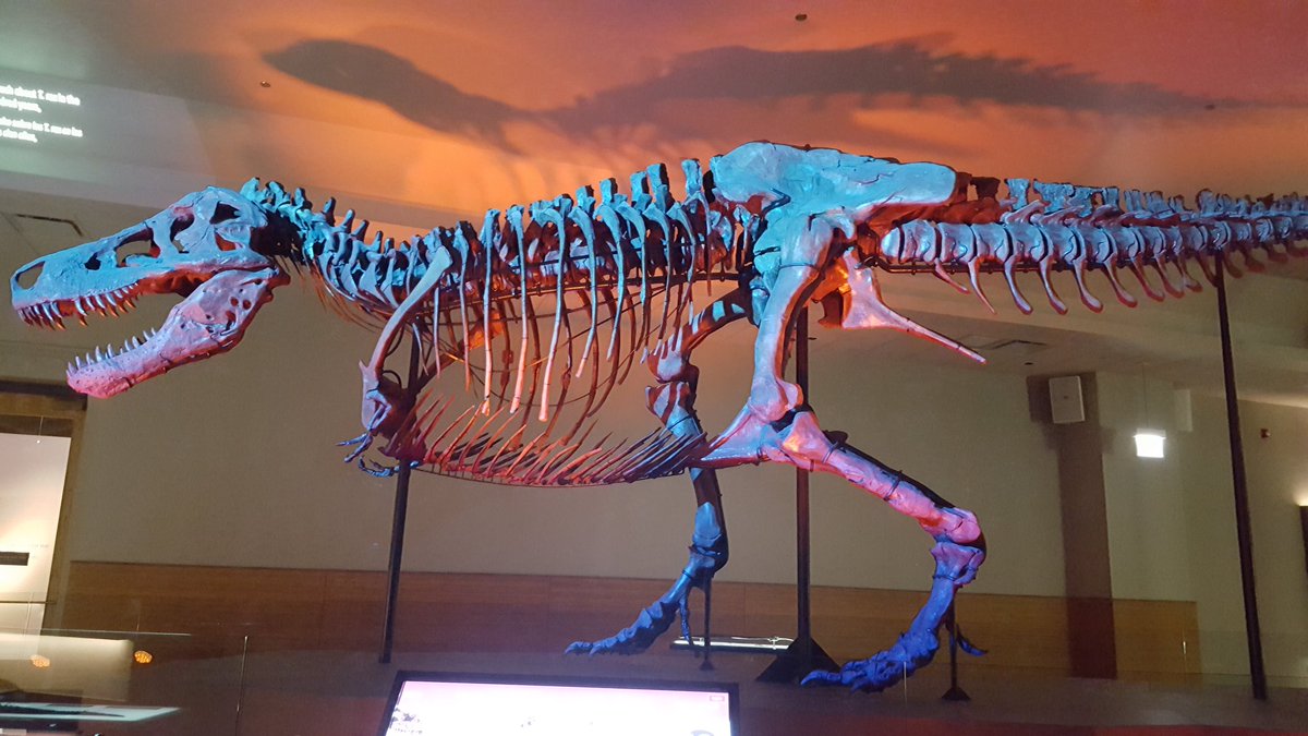 Kristen Gallagher tweet media