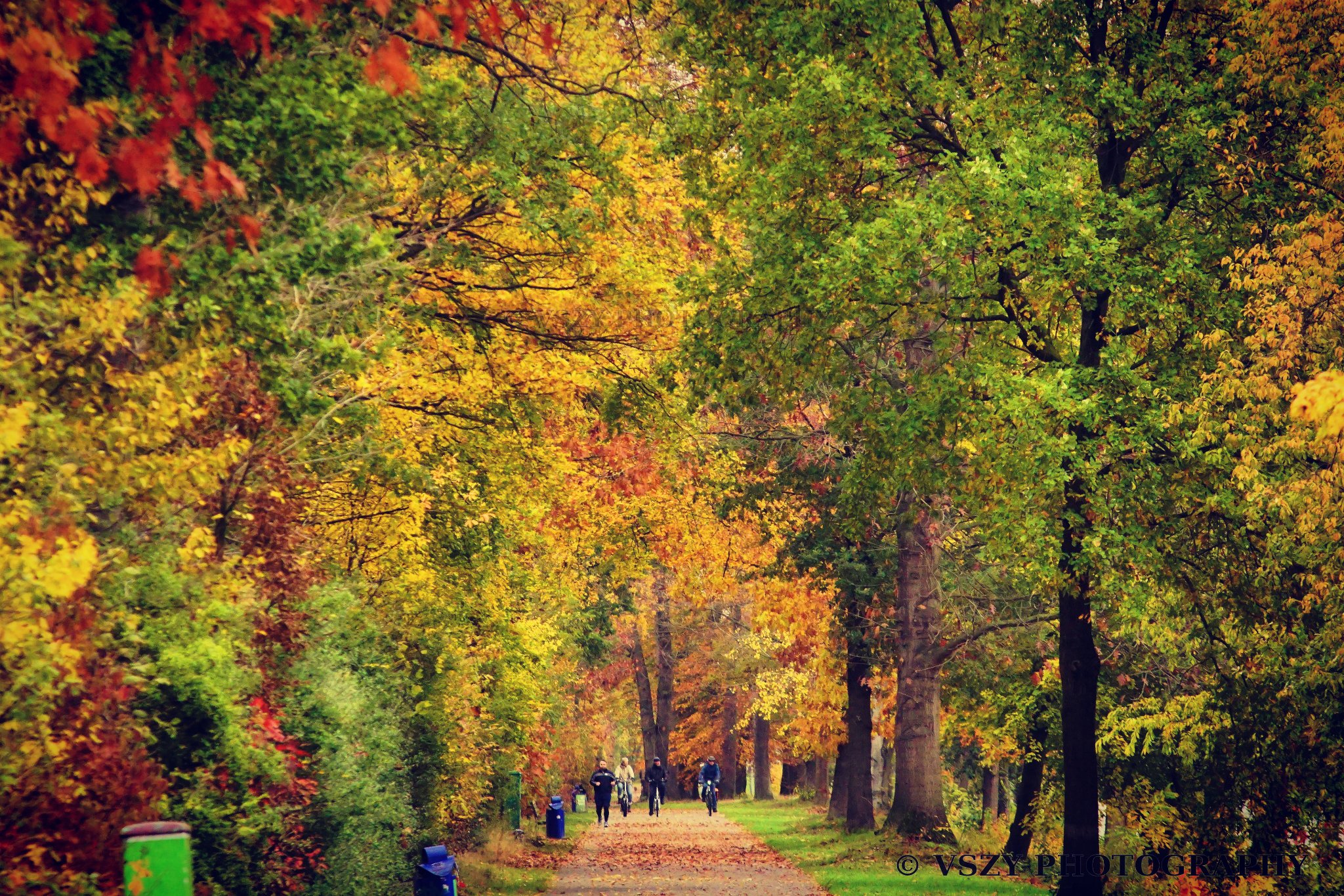 Instagram Colorsofautumn Autumn Color