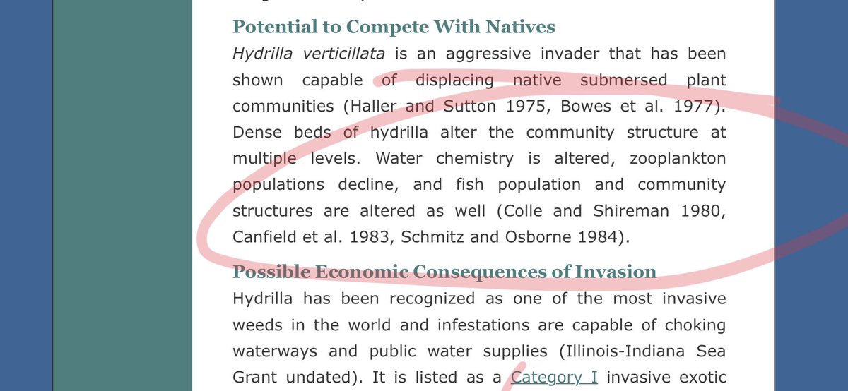 Our natural resources have been compromised by introduction of rapidly populating aggressive invasive plants & species our planet is going to literally suffocate to death not climate change, it will be the invasive species over whelming earth. We’ll have no substance no survival