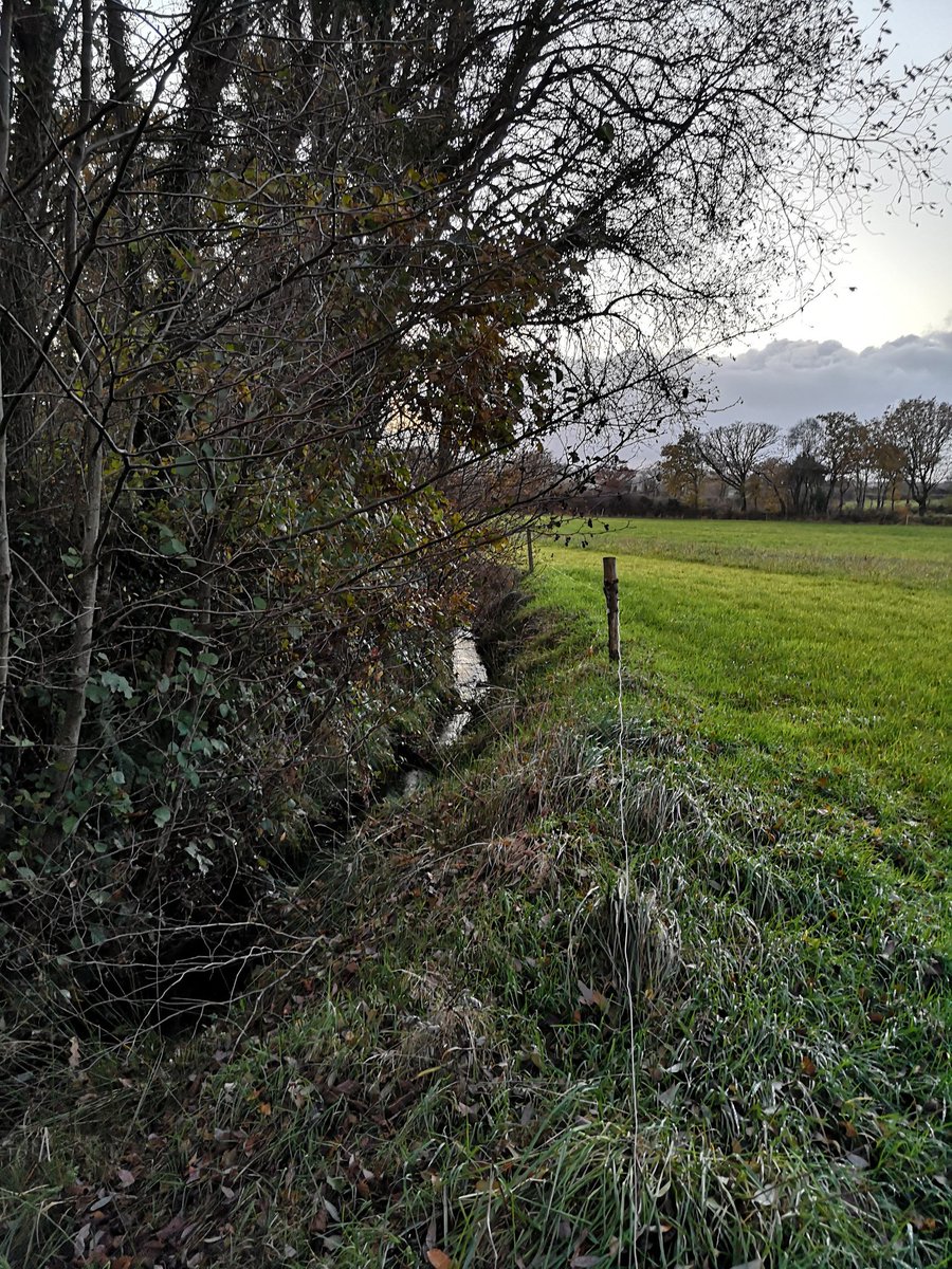 WaterMarke's tweet photo. Tonnes of collaboration in Cork this week with @DuhallowBlueDot and @ROADRUN_Project exchanging ideas on runoff, roadways and ditches all to improve #WaterQuality #TeagascJC https://t.co/KWxWZegomD