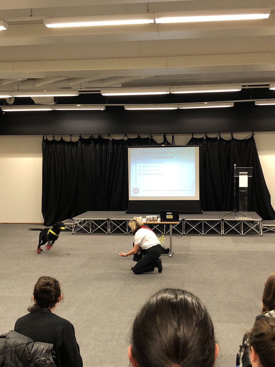 HertsFireDog's tweet photo. Such a privilege to be invited to the @ukhomeoffice in London today for their #WorkingDogsDay. Thor and I had a great time and made lots of new friends. #HomeOffice #WorkingDogs #FireInvestigationDogs #DogsWithJobs https://t.co/RCR8gVEn7H