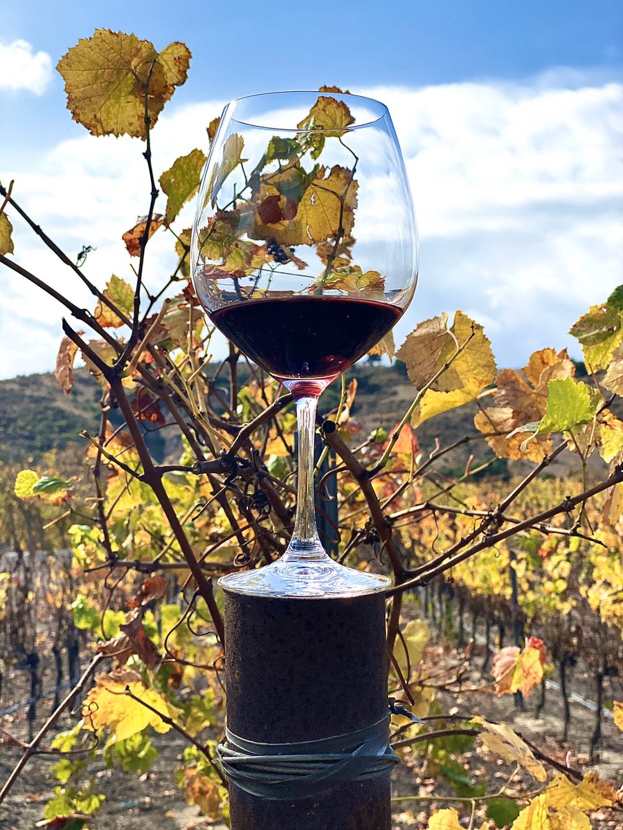 Thanksgiving is only 8 days away but don’t worry you still have time to place your holiday orders! 🦃 
.
🚨Monday, November 25th is the last day for flat rate shipping.
.
You can call the tasting room at (805) 737-6222 ext. 1 or email us at Concierge@foleywines.com! #pinotnoir