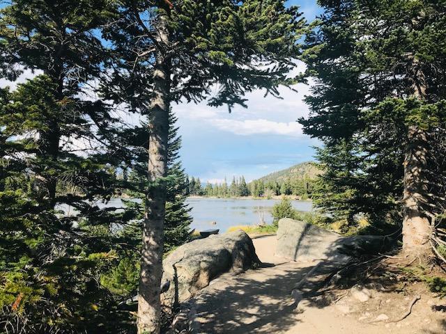 MandyGoHogs's tweet image. WALKING BY FAITH… mygoodhisglory.com/2019/11/20/wal…