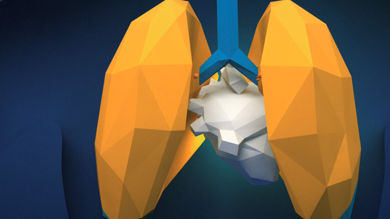 PMIScience's tweet photo. Our #SimplifiedScience blog covers a recent scientific paper: Assessing lung cancer risk reduction potential of smoke-free alternatives: A new systems toxicology approach that doesn't take decades.

Read more here: https://t.co/80Njm0kijt https://t.co/KEDSdyngwg