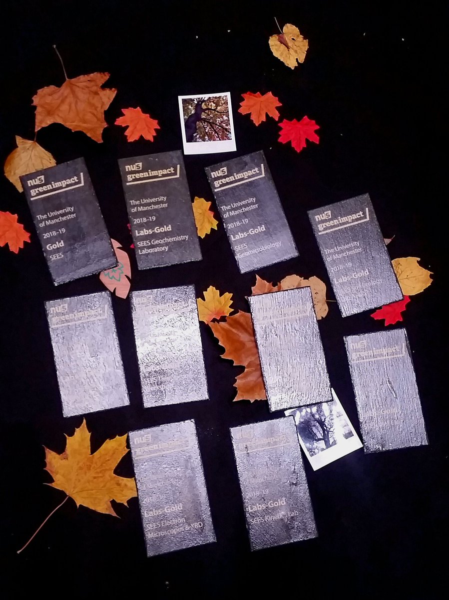 ManOrgGeochem's tweet image. Collecting our gold Green Impact Award for the Organic Geochemistry Laboratories  @UoMSust @SEES_Green  @UoM_EES