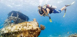 squalodivers's tweet photo. Join Us for a Fun Dive Trip! https://t.co/oNPWN40Xnn https://t.co/ETFUA3sQ7W