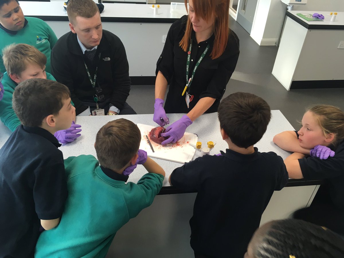 Upper Key Stage 2 were mesmerised during our dissection lesson today with Miss Bullock and all pupils were able to use scientific terminology during discussions #wideninghorizons