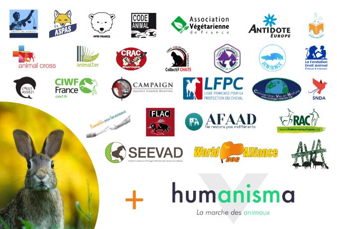 CAPpolitique's tweet photo. L’association #Humanisma rejoint CAP !
Humanisma lutte notamment pour que la protection animale soit inscrite dans la constitution. Plusieurs pays ont déjà franchi ce pas et nous aurons à cœur de la soutenir dans son combat pour faire évoluer le droit de l’animal en France. https://t.co/q79kY9rQoO