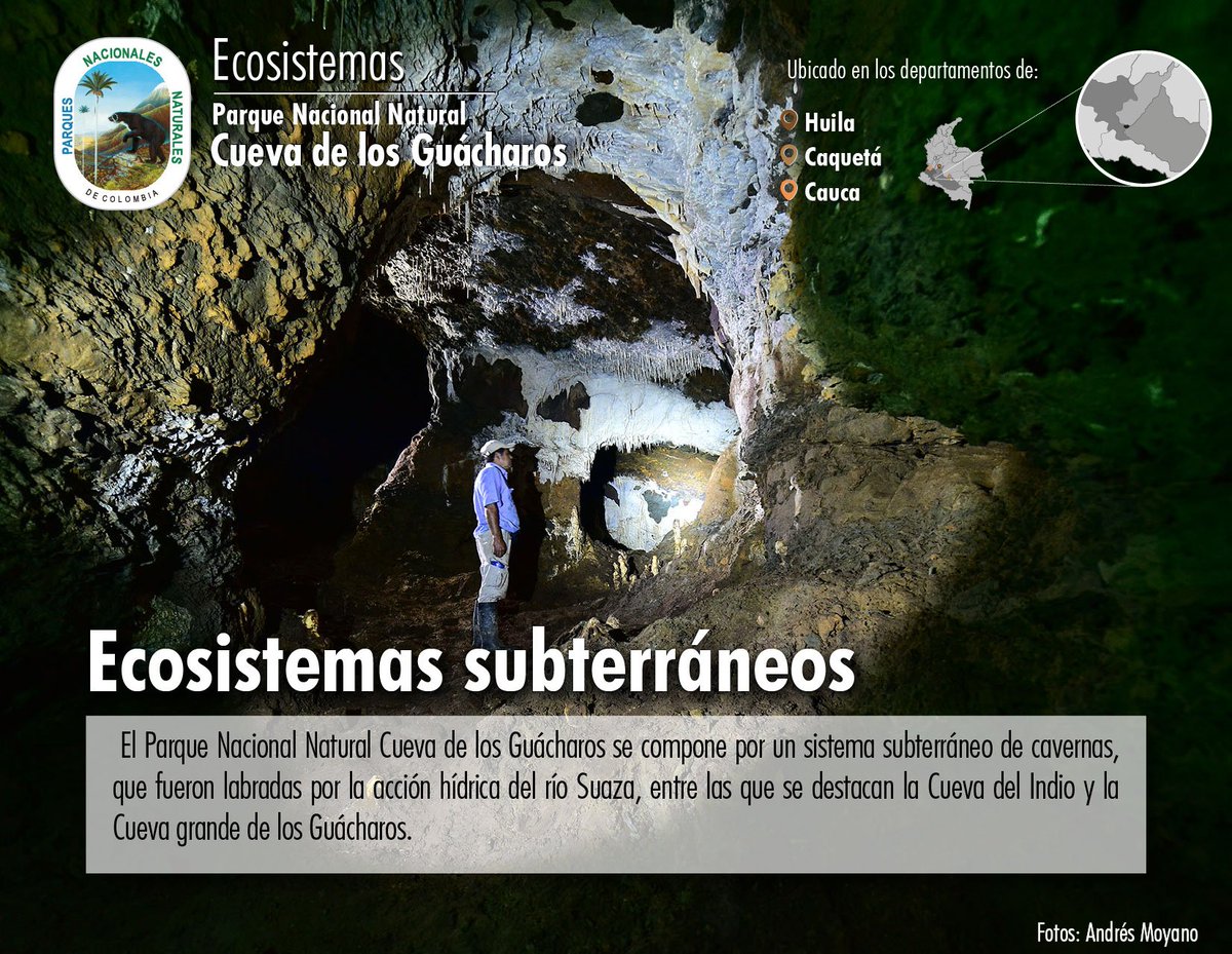 Parques Nacionales Naturales de Colombia tweet media