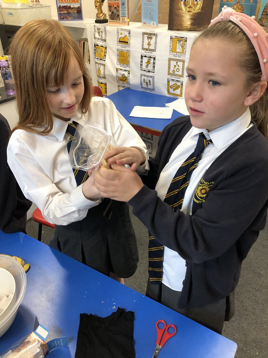 WinthorpeClass3's tweet image. Yesterday we made our very own models of the digestive system using tights!  #science #practicalwork