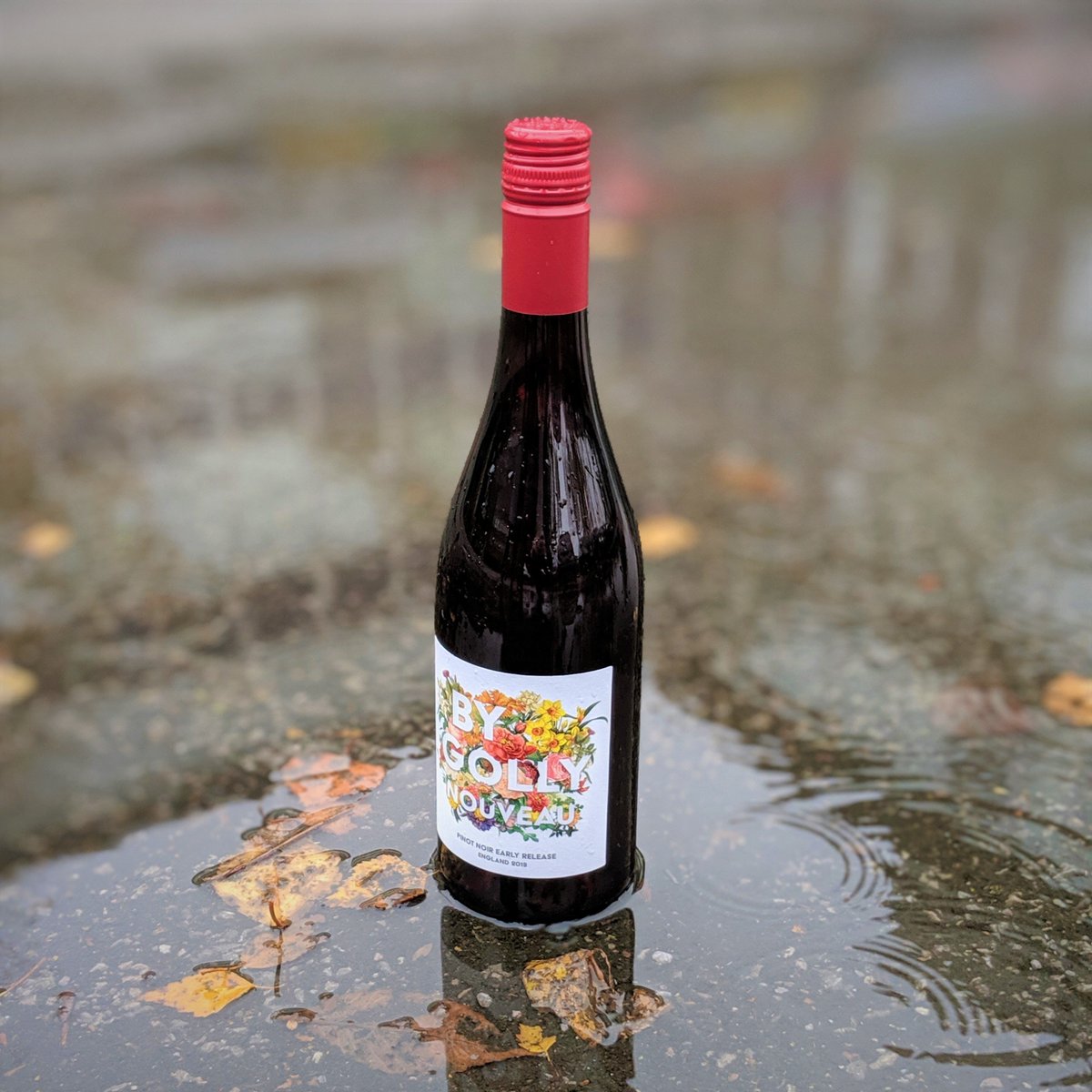 CeriLewis5's tweet photo. ‘Great work from the wine team to create By Golly, a beautiful Early Release Pinot Noir, in just seven weeks. @matthewclarkltd #wineinnovation #homegrown’. https://t.co/mgjxMO9yfd