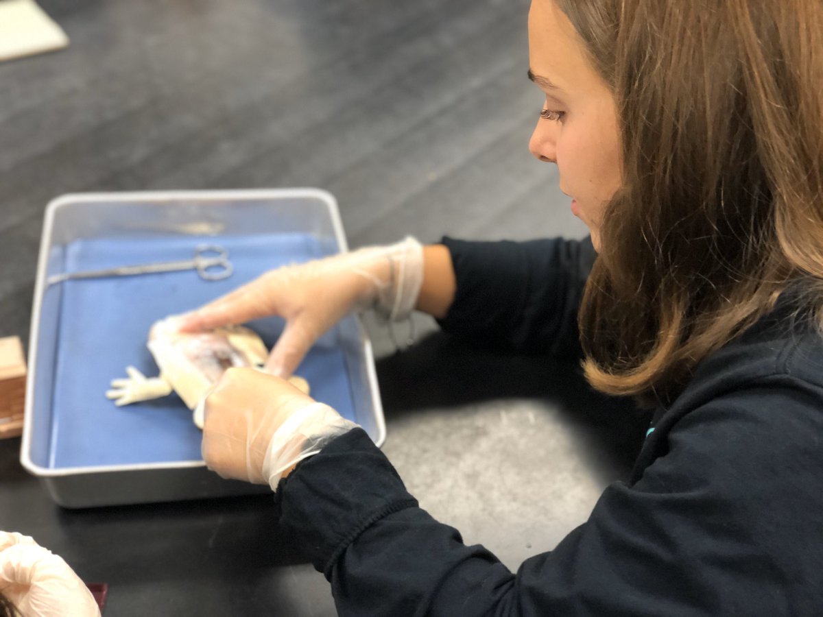 JWMHS's tweet photo. We are so excited to have partnered with @Syndaver so that our #Mustangs could be the first students in the world to dissect synthetic frogs 🐸! #DissectionAwaits #ScienceAwaits #LearningAwaits #Excellence #HighSchoolExperience https://t.co/rtpPoSEvlF