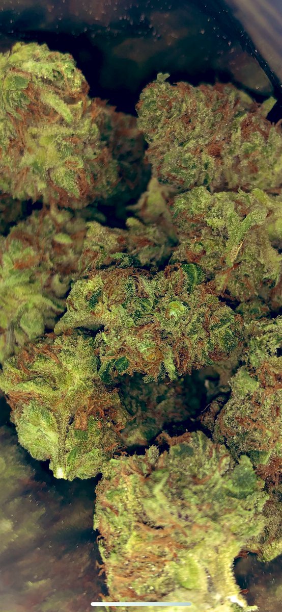 effin_tony's tweet photo. Gas by the oz @curaleaffl #follow #taffie #medicated #cannabis #legalizeit #allgasnobrakes #florida https://t.co/LkB0hTEFZf