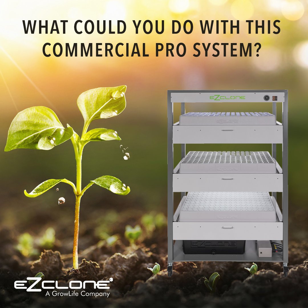 The EZ-CLONE Commercial Pro System features the newest innovation in precision aeroponic propagation designed for full-time, year-round production of cuttings. 🌱

Shop our commercial systems - bit.ly/2oB8u7e

#ezclone #growlife