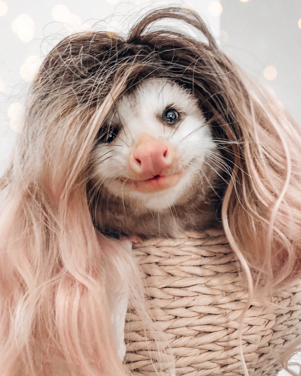 J u n i p e r tweet media