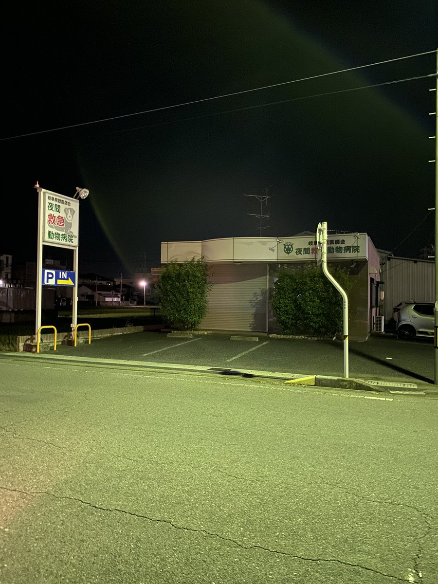 今日は夜間診療のサポート当番でした。当院からはちょっと遠いのが難点ですが夜間救急病院のおかげで飼い主さんには安心できる病院として利用していただければと思います。夜間病院のスタッフさんも遅くまでご苦労様でした。