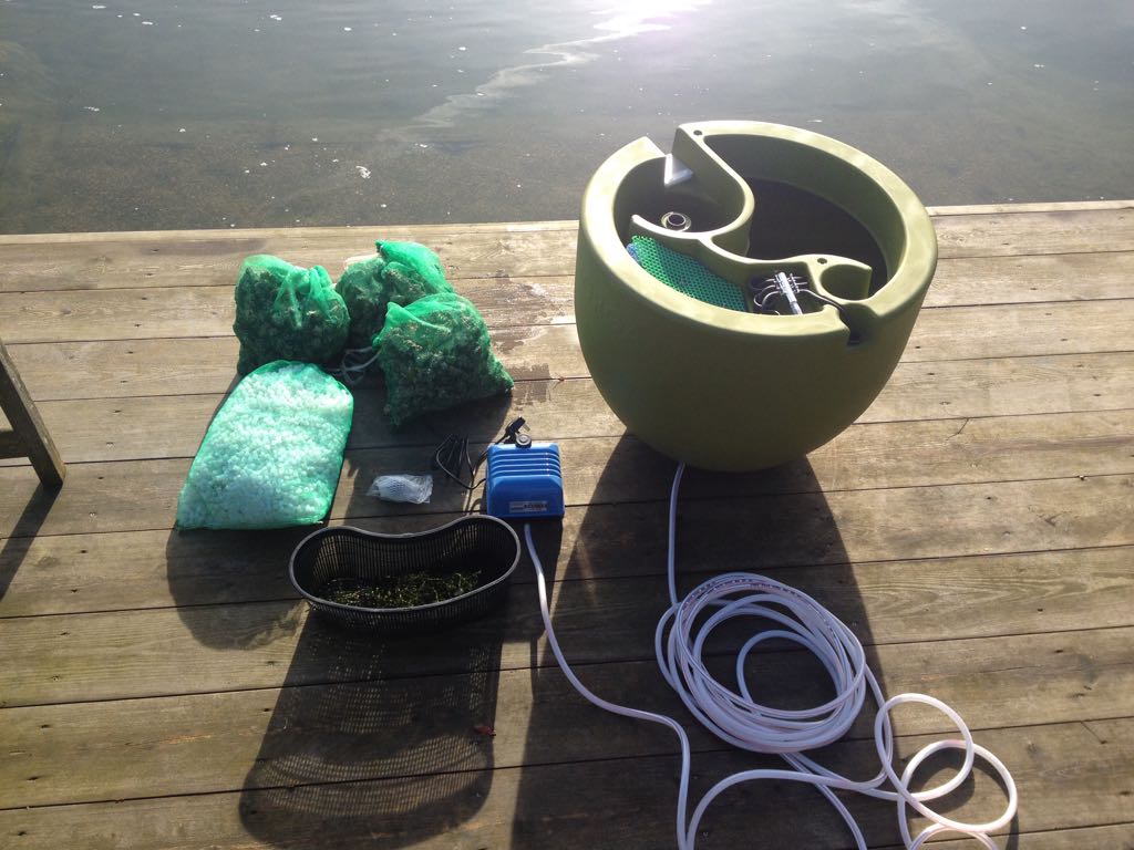 organicpools's tweet photo. Here's the first OLIVE Organic Pool filter ever sold - being launched at Oliver's clay-based pool in South Norfolk.

#gardens #organicpool #naturalpool #greenbuild https://t.co/m4CG5sMnC8