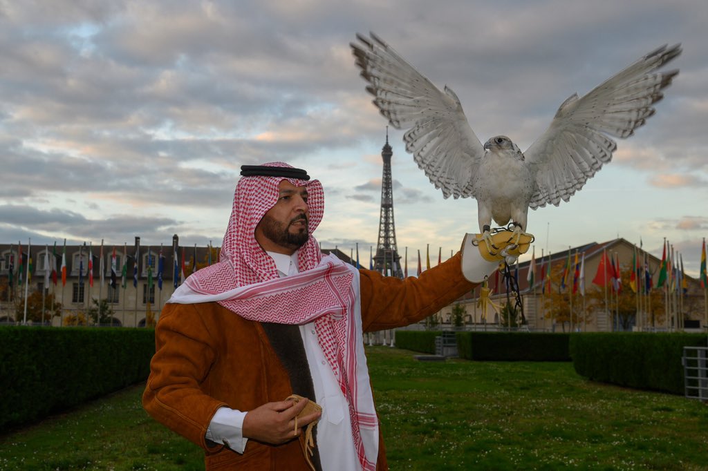 rbalsaud's tweet photo. Sustainability and culture go hand in hand. The Kingdom shared an exhibition the @UNESCO headquarters in Paris, to celebrate our rich traditions in Saudi Arabia, featuring AlUla and Falconry. By sharing our identity, we can break prejudices. @KSAforUNESCO https://t.co/5UdDZ5Vta6