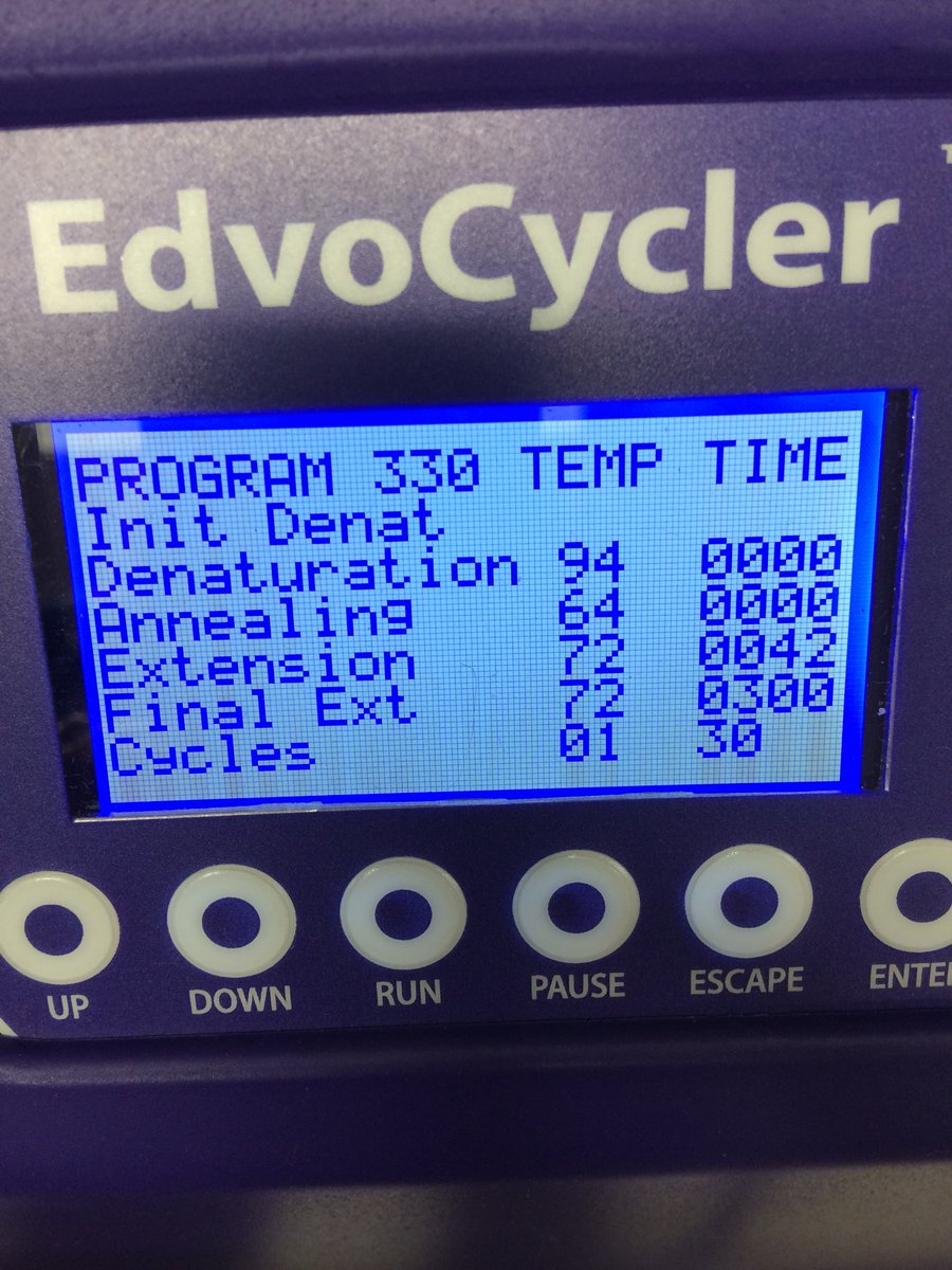 HollyLowden's tweet photo. @AHS_ScienceDept Medical Interventions students running PCR to locate PTC taste gene https://t.co/FnQu3k9eDQ