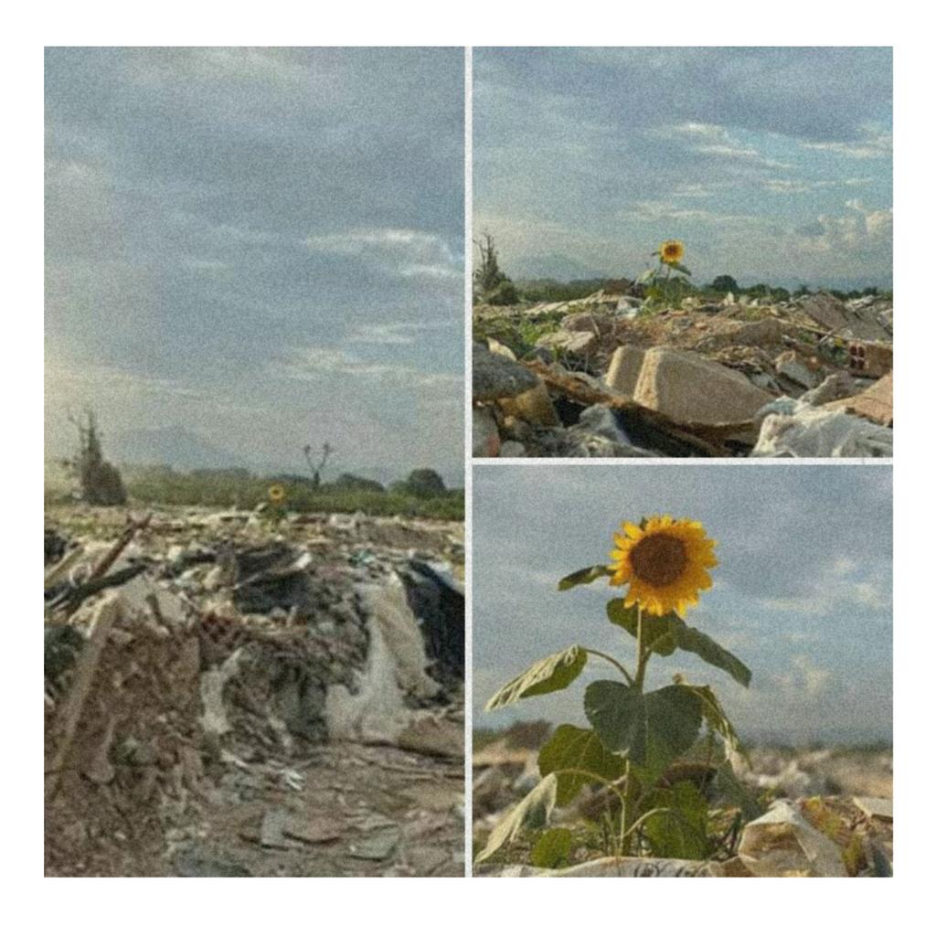 SinPlastico2019's tweet photo. En la actualidad, México tiene alrededor del 11% de plástico en la basura y genera 722,000 toneladas anuales de PET. ¿Qué feo, no crees? 
Frase del día:
"La tierra proveé lo suficiente para saciar las necesidades de cada ser humano, pero no la avaricia de cada hombre" https://t.co/ZE5hvBfRfJ