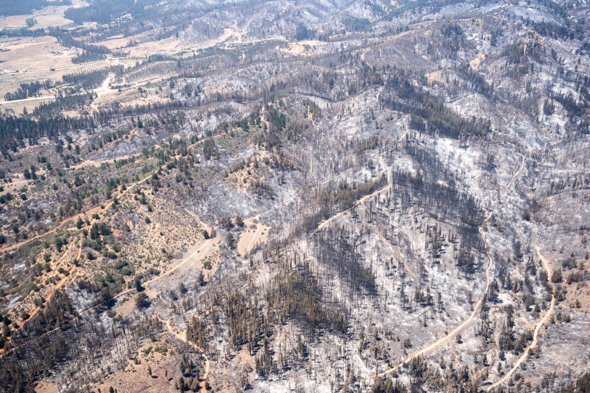 Sebastian Piñera tweet media