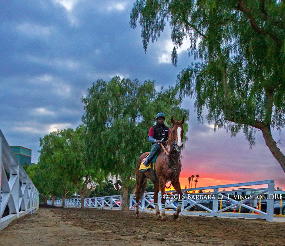 Barbara D. Livingston tweet media