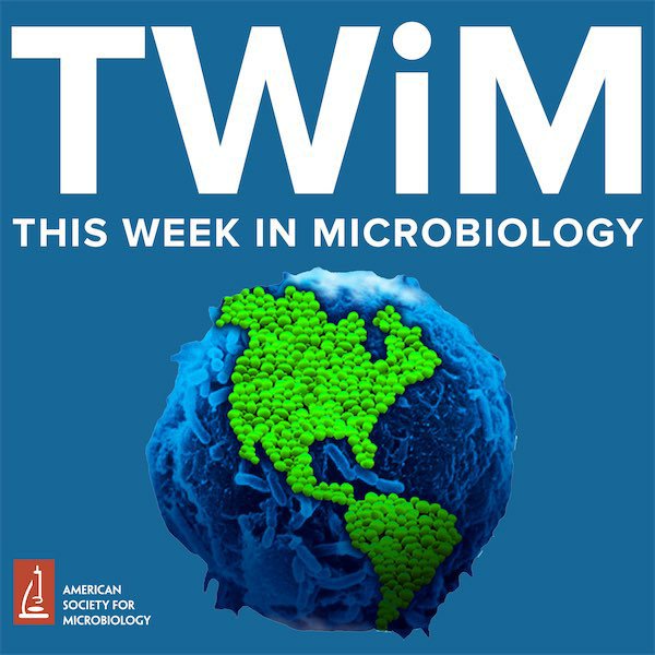 <a href="/TrevorLithgow/">trevor-lithgow.bsky.social</a> <a href="/LithgowLab/">LithgowLab</a> featuring in the most recent TWIM. More exclusive than most journals?! Congrats all!

This Week in Microbiology] 209: Resuscitating persisters and flagellotrophic phage #thisWeekInMicrobiology 
podplayer.net/?id=86989388 via <a href="/PodcastAddict/">Podcast Addict</a>
