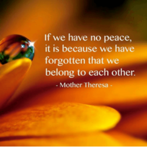 VenicePeaceProj's tweet photo. https://t.co/IZrfSHldPb