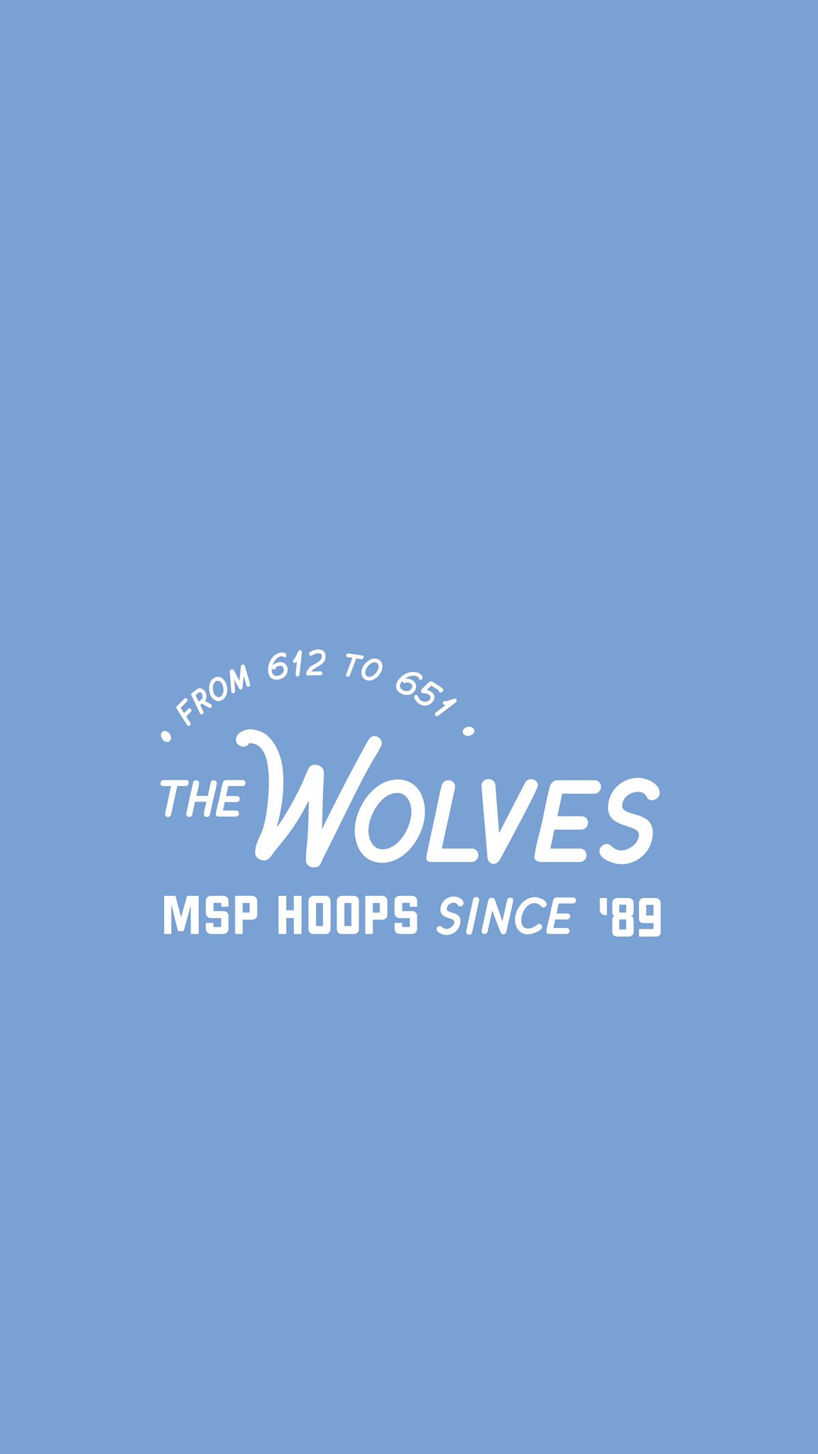 msp minnesota timberwolves