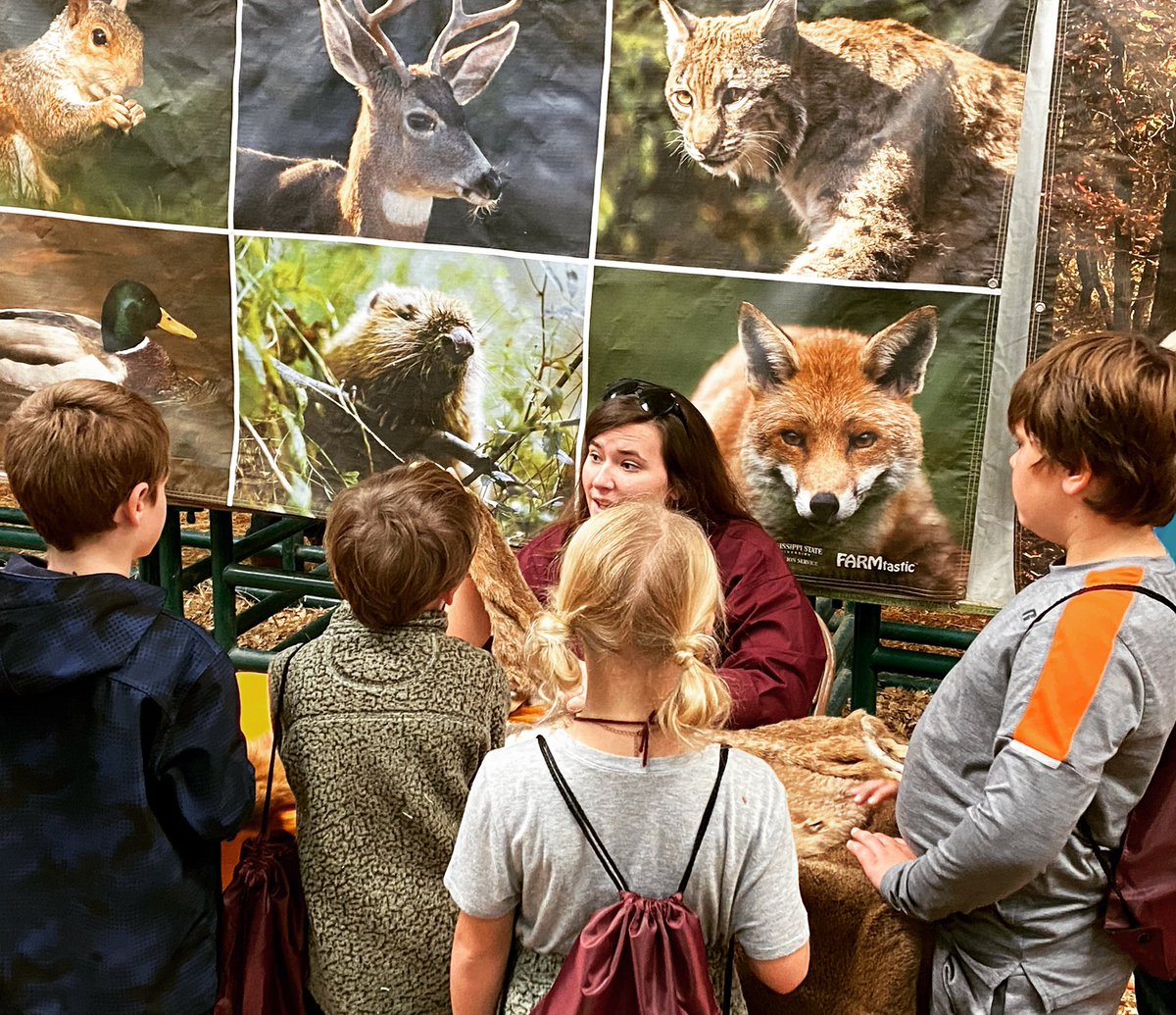 FARMtastic_MS's tweet photo. Learning about wildlife today at #FARMtastic in the #msdelta #agricultureatyourfingertips #msuext #feedclothecare https://t.co/19NZGibeKK