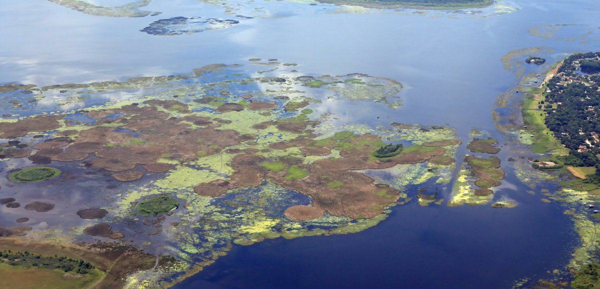 SWWaterHubs's tweet photo. 💧New Article💧
Harmful Algae Blooms (HABs) are wreaking havoc for the environment and economy for Ohio. Follow the link below to learn more about how these environmental and financial implications can impact human behavior.

Link: https://t.co/RDY2eaX39D

#Ohio #LakeErie #Algae https://t.co/tjiuNxsl0S