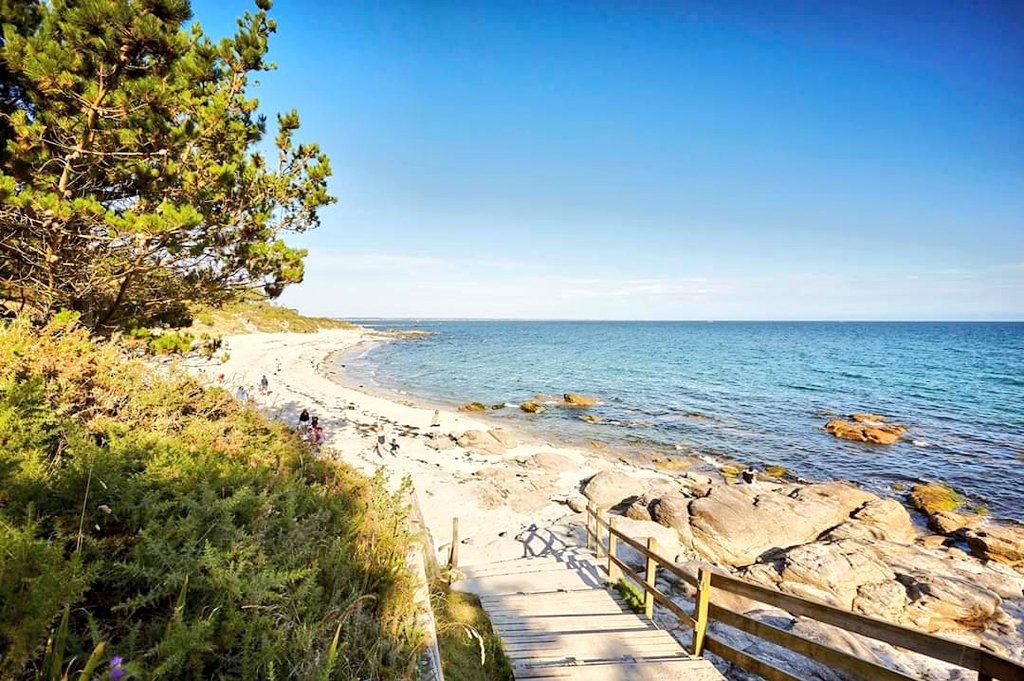 Rennes➕ tweet media