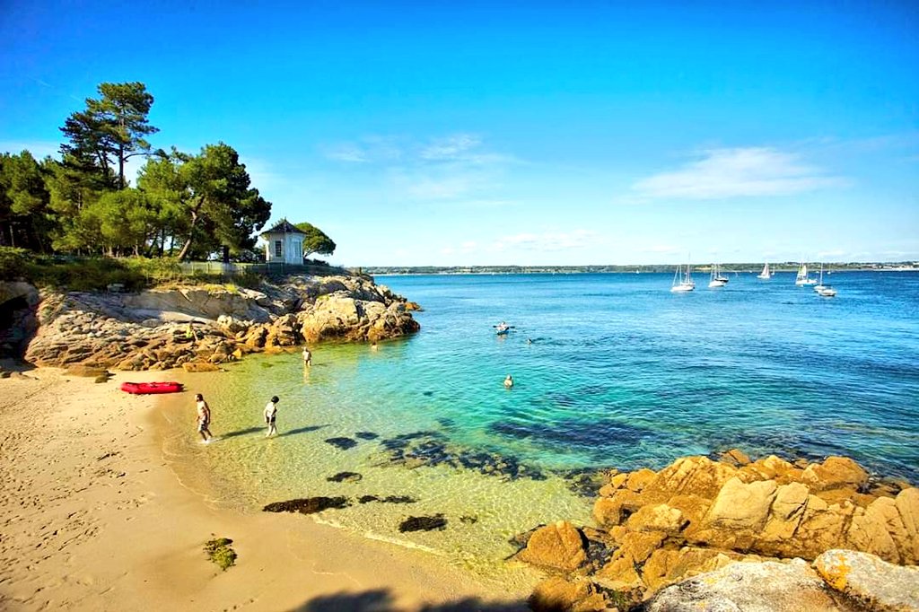 Rennes➕ tweet media