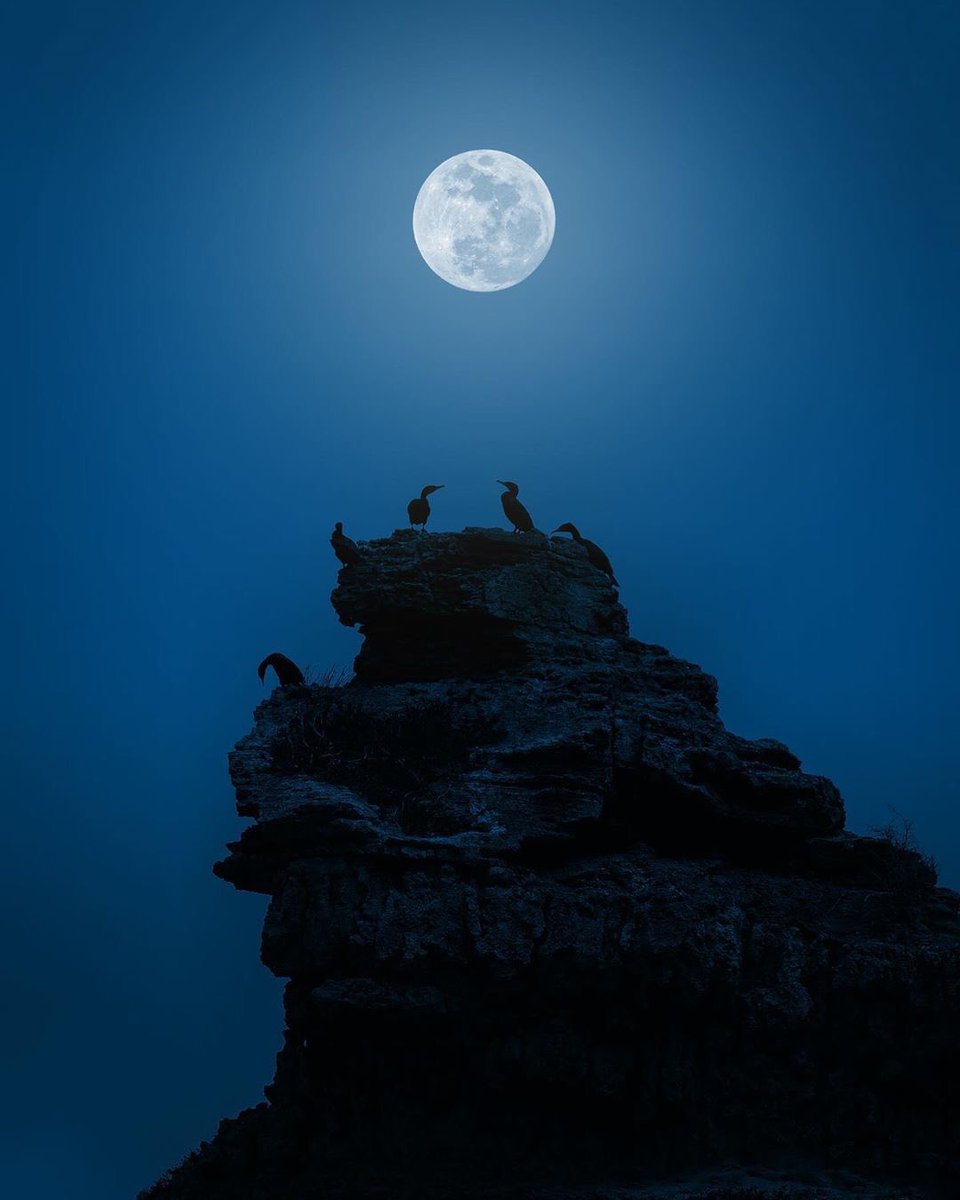 “Tell me the story.. about how the sun loved the moon so much..
That she died every night..
Just to let him breath.”
-Hanako Ishii 🌕❤️🌞
#moon #birds #mountains #hill