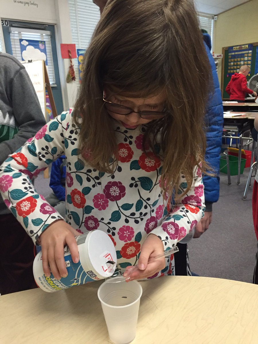 kgazard1's tweet image. Room 37’s Gummy Bear lab. Follow us as we discover whether vinegar, baking soda, water, or salt change the outcome of our test subjects. #180daysofjoy @ClockerTalk @MindessAP