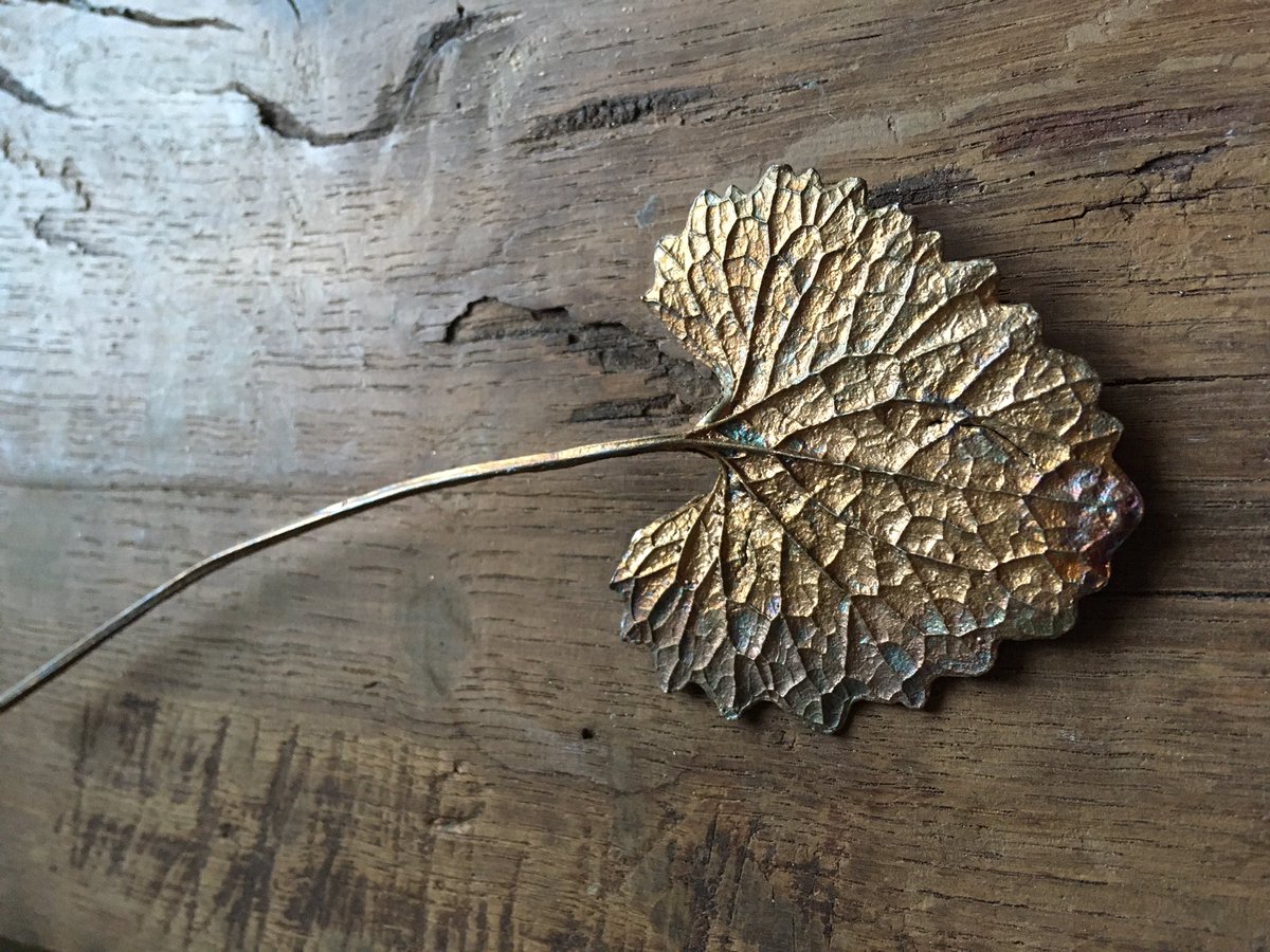 walkinglantern's tweet image. Now, there is further debate in between 3 different species this leaf could be: 1. garlic mustard/jack-in-the-hedge 2. ground ivy 3. Ligularia, the rocket. If you can help which of these 3 this leaf is, please let me know. #leafID