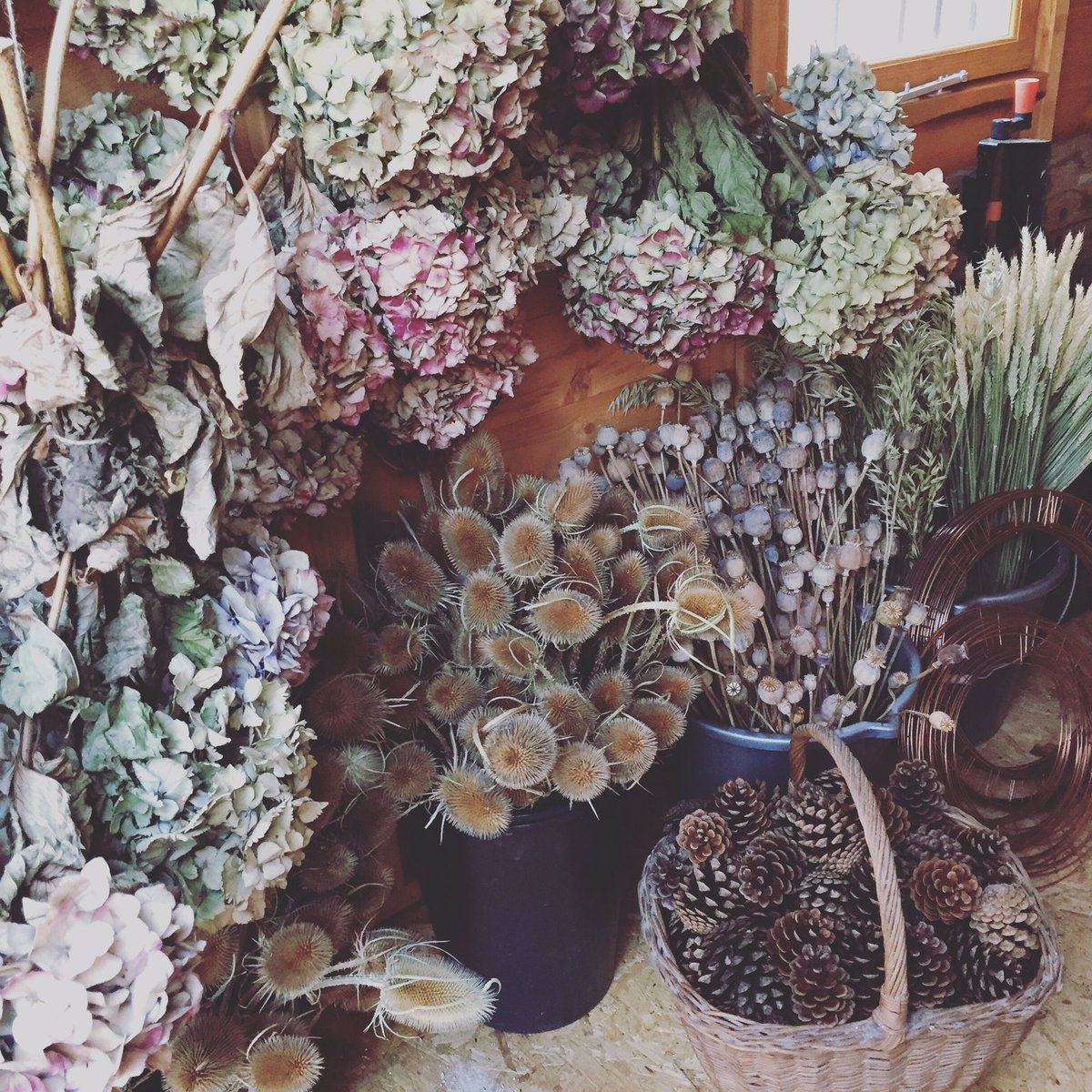 All ready to start creating Christmas Wreaths &amp; will be <a href="/Whiteladiesrd/">Whiteladies Market</a> on Saturday taking orders for wreaths &amp; bookings for Christmas Wreath Workshops in Bristol on 5th &amp; 10th Dec