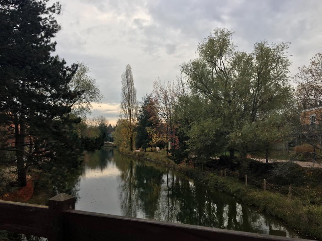 Lorrain61370664's tweet photo. @BA_Disney2019 https://t.co/6XulxX4OM2