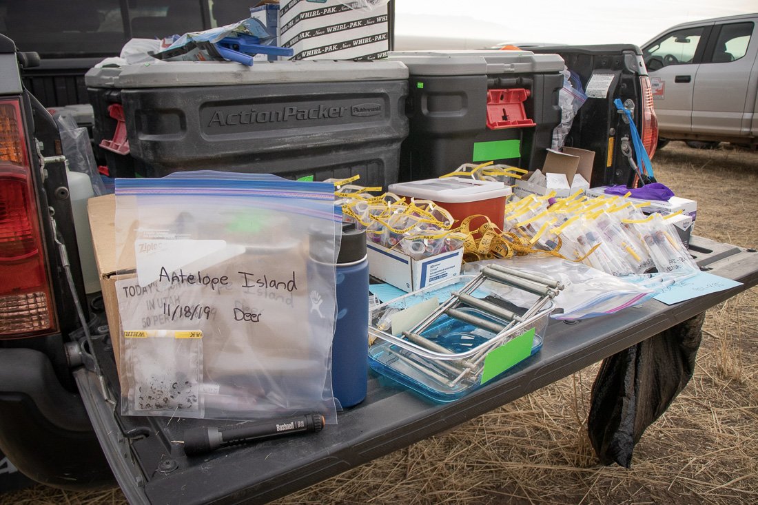 Davis Clipper tweet media