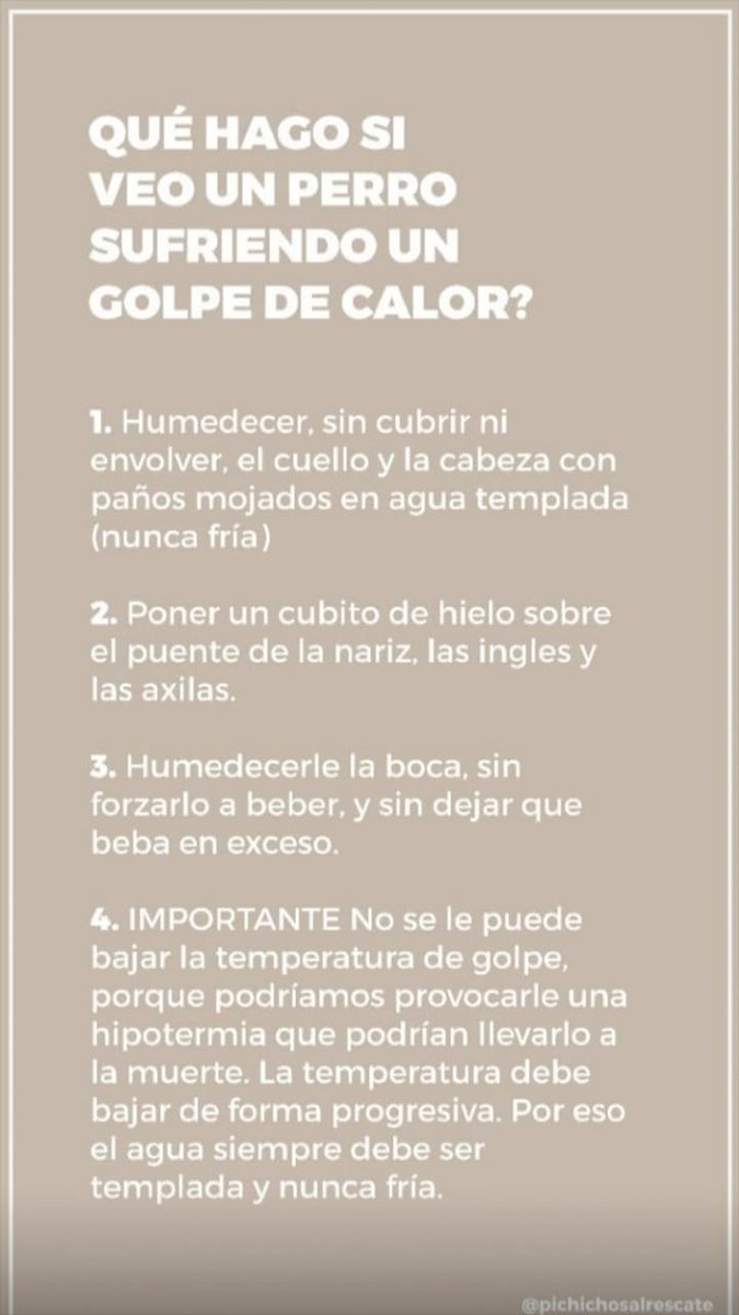 CarmeDarhanpe's tweet photo. ⚠️ Siempre es bueno saber ⚠️ https://t.co/UVIUUY8tnk