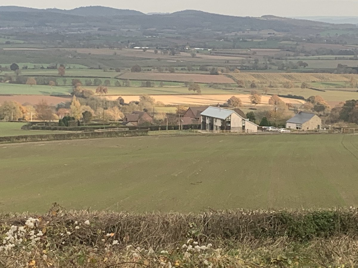 AutisticWalker's tweet photo. After a month of terrible weather &amp; low energy I got out &amp; did #MarcleRidge circular walk. Tranquil 4.5mile route with amazing panoramas of the #Malverns &amp; #Herefordshire. Not a muddy route at all. Feel much better for being active. #walking #autumnwalks https://t.co/1RF1a7roqB https://t.co/LM2mXdizu4