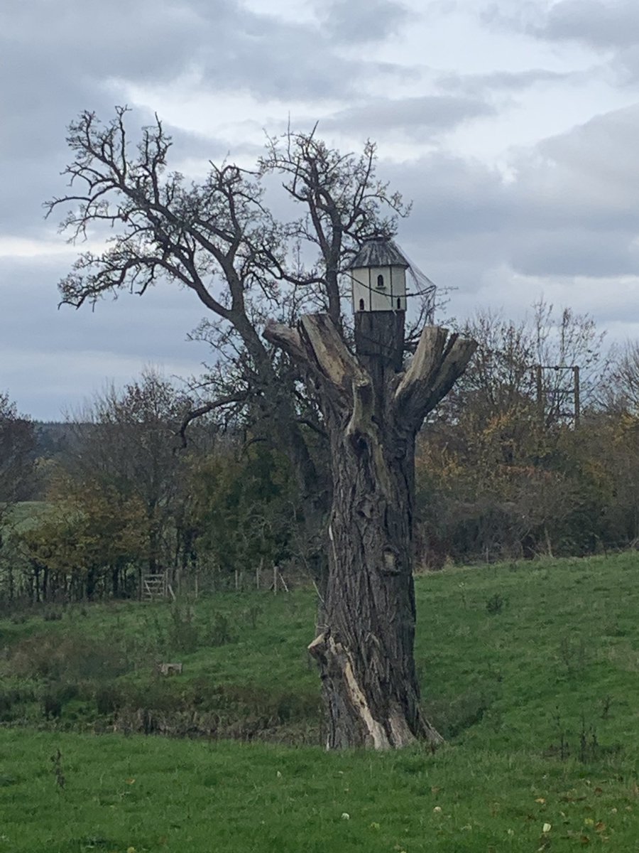 AutisticWalker's tweet photo. After a month of terrible weather &amp; low energy I got out &amp; did #MarcleRidge circular walk. Tranquil 4.5mile route with amazing panoramas of the #Malverns &amp; #Herefordshire. Not a muddy route at all. Feel much better for being active. #walking #autumnwalks https://t.co/1RF1a7roqB https://t.co/LM2mXdizu4