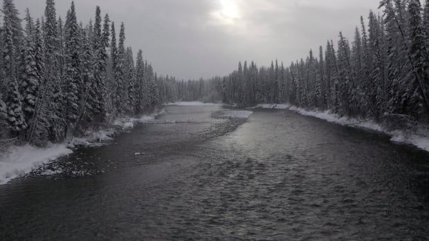 Threats to Canada’s fresh water supply caused by climate change - like algae blooms on #Ontario’s Great Lakes- could leave us ‘up a creek without a paddle’ according to a new report: buff.ly/345VHcp