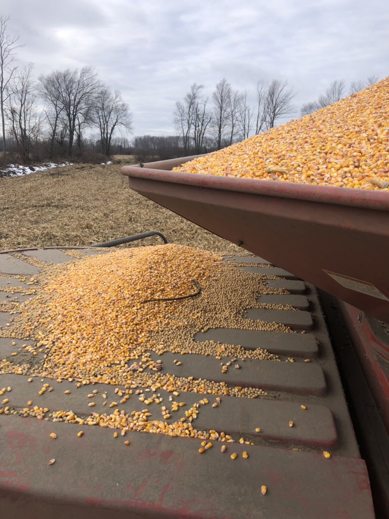 Nyman Farms tweet media