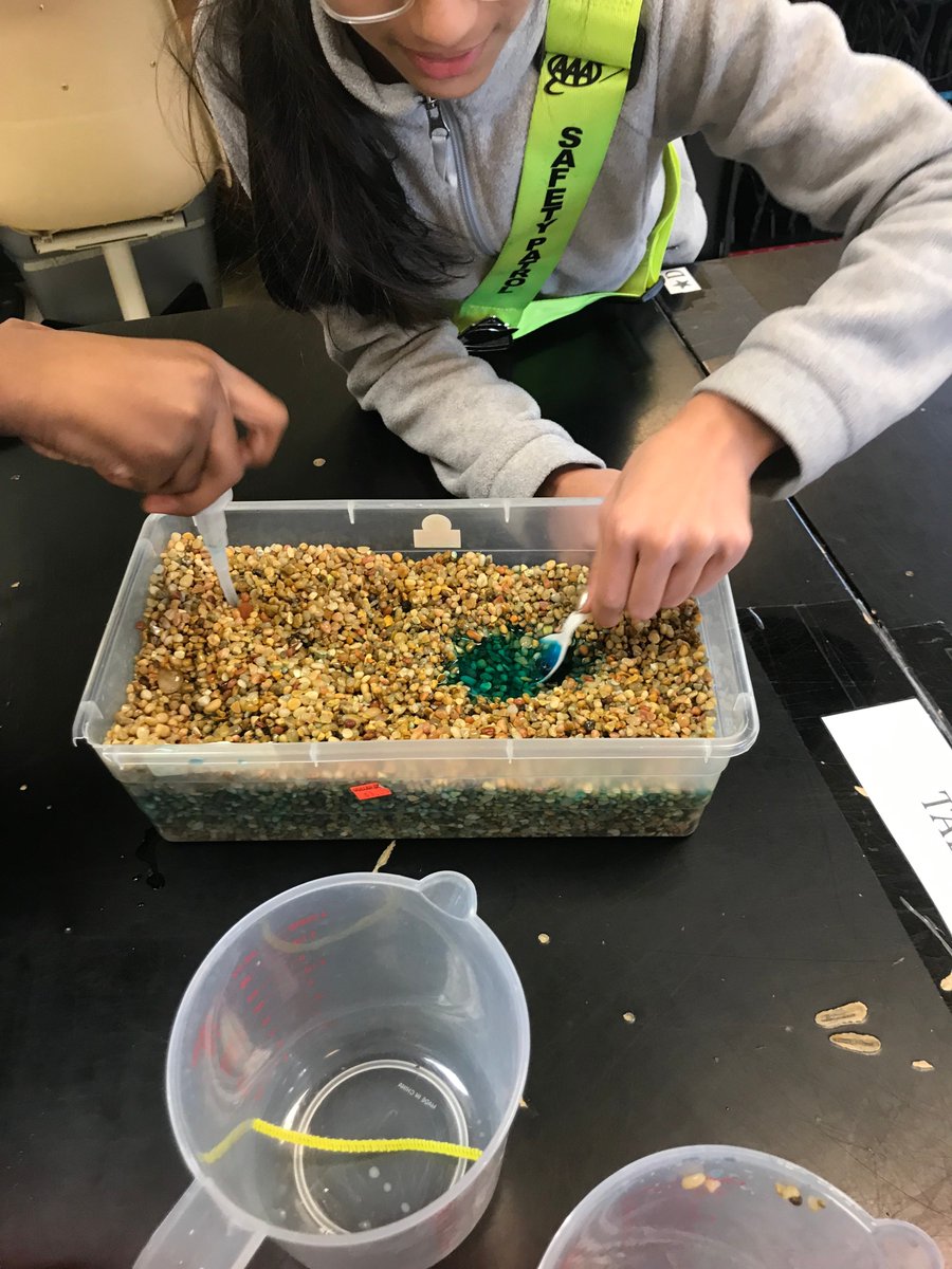 Mr. Siegal tweet media