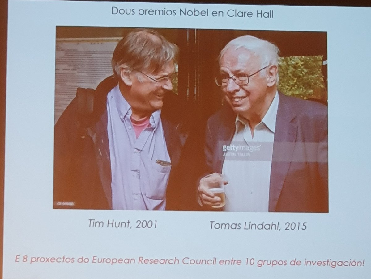 rafavidalperez's tweet image. La importancia de tener una linea única de investigación ... todo el mundo sabia cual era su rol ... no habia que pedir proyectos... se pensaba a largo plazo... buscar gente que se complementaba... si en 5 años no funcionabas te echaban #programaConCiencia