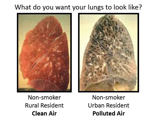 Drsarika005's tweet image. If this doesn't scare you to do something concrete for #AirPollution nothing will.
#MujheyJeeneyDo 
#सरकारजिम्मेदारीलो
#AravalliBachao